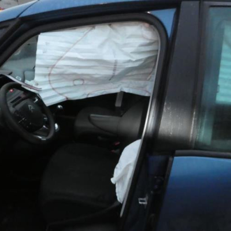Porte avant droit CITROEN C4 PICASSO 1 Photo n°14