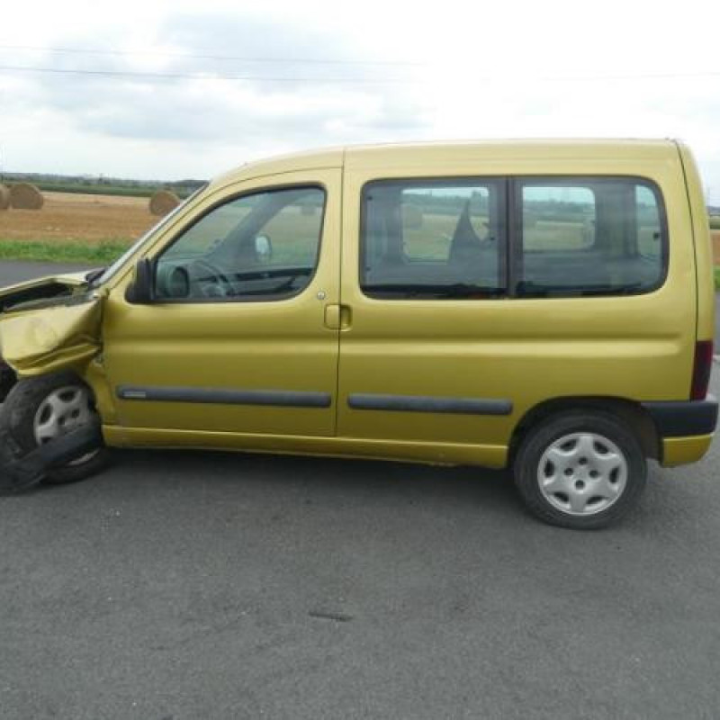 Porte avant droit CITROEN BERLINGO 1 Photo n°9