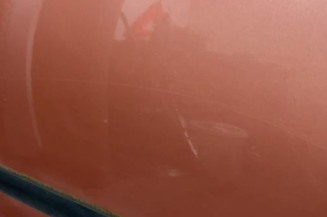 Porte arriere gauche OPEL CORSA C