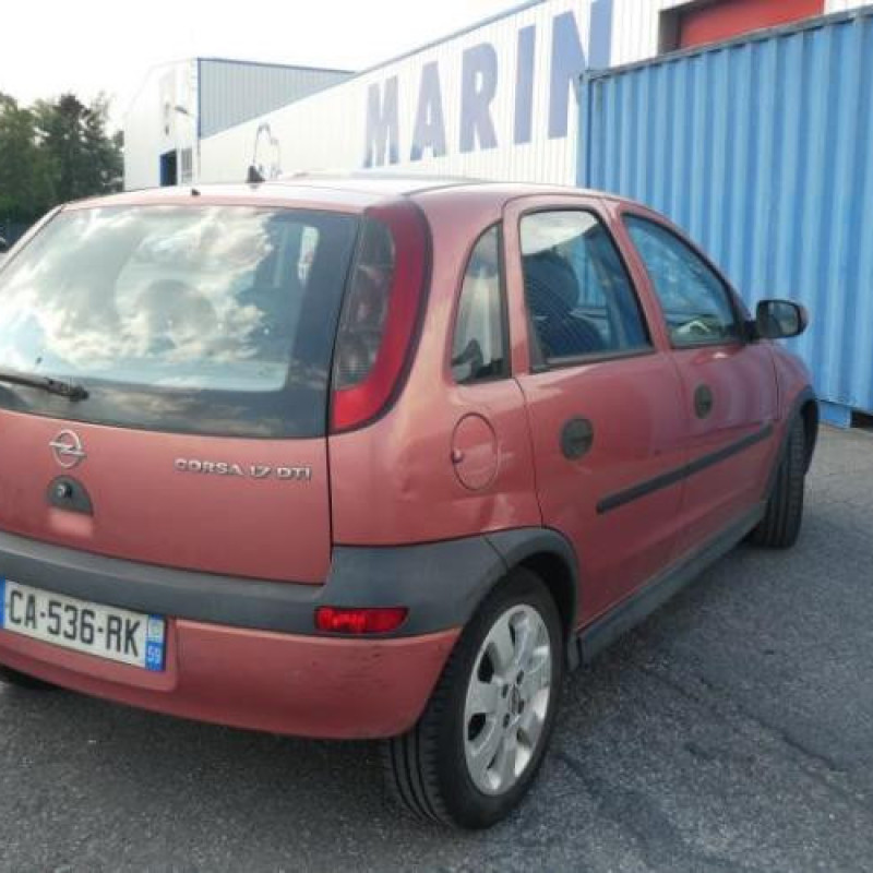 Porte arriere gauche OPEL CORSA C Photo n°8