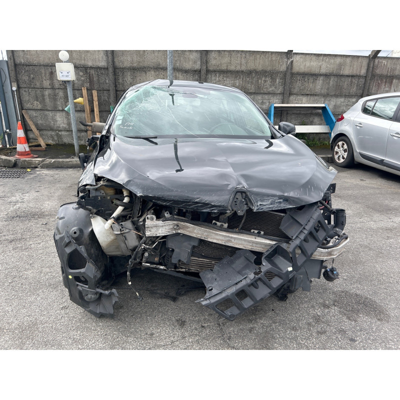 Custode arriere droit (porte) RENAULT MEGANE 3 Photo n°14