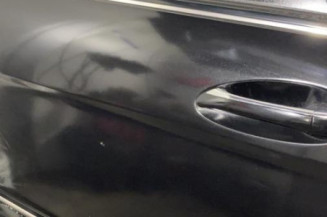 Porte arriere gauche MERCEDES CLASSE B 245