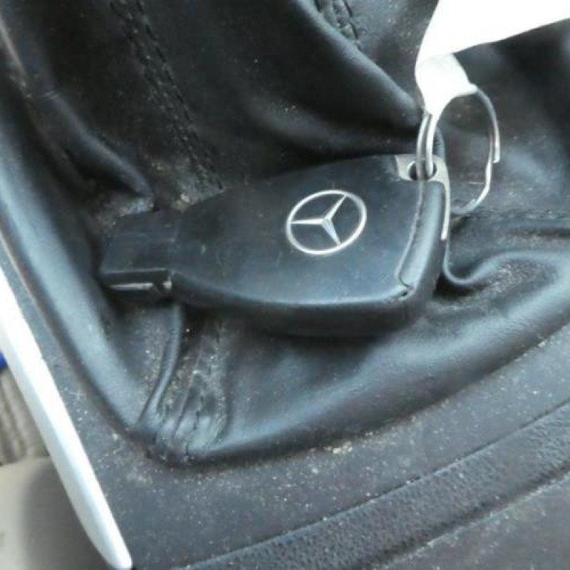 Porte arriere gauche MERCEDES CLASSE B 245 Photo n°13