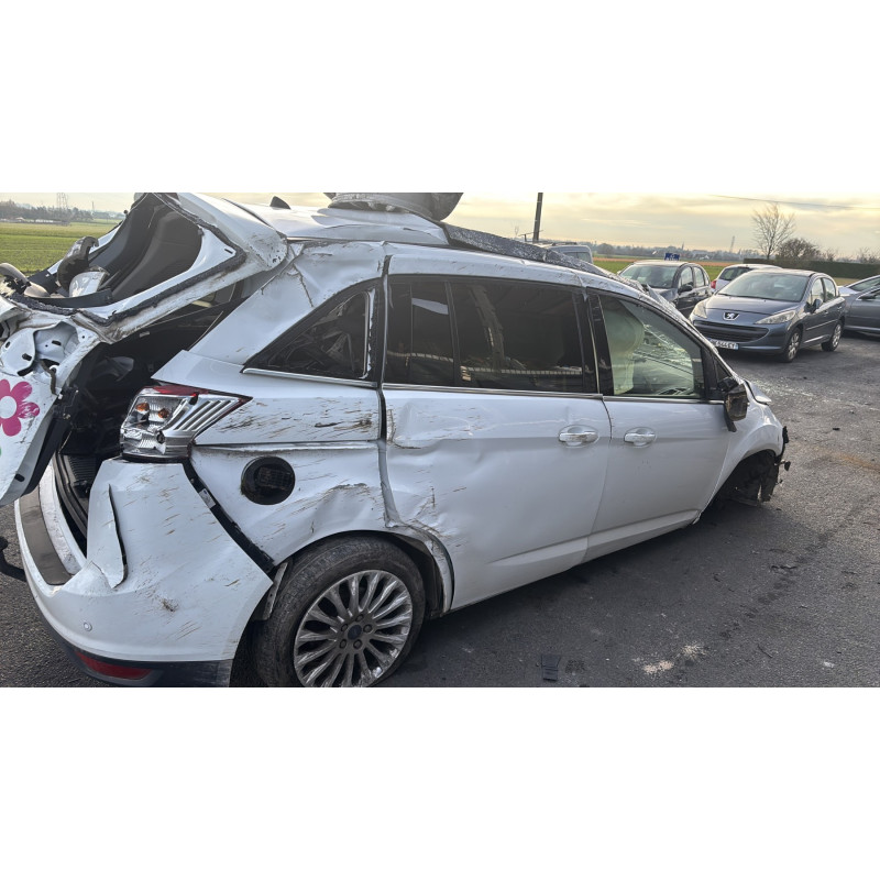 Custode arriere gauche (porte) FORD GRAND C-MAX 2 Photo n°12