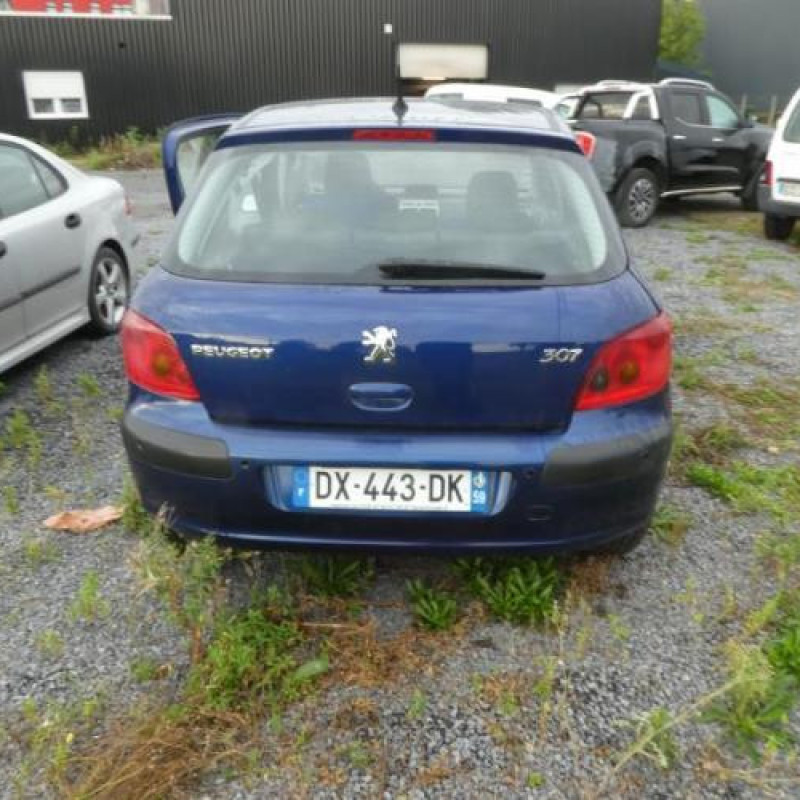 Jante PEUGEOT 307 Photo n°4