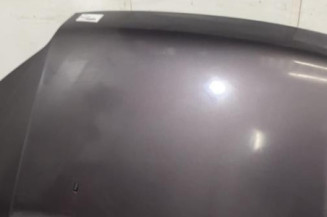 Capot FORD TOURNEO CONNECT 1