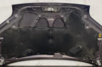 Capot FORD TOURNEO CONNECT 1