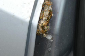 Charniere de capot OPEL ASTRA H