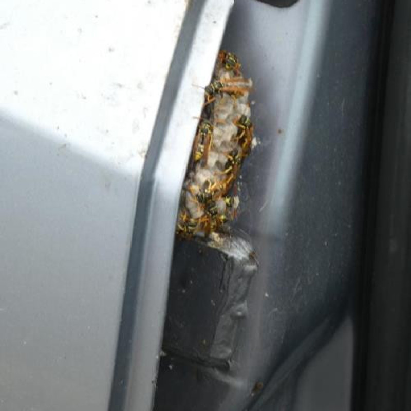 Charniere de capot OPEL ASTRA H Photo n°13