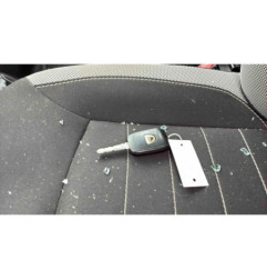 Porte arriere gauche DACIA SANDERO 2