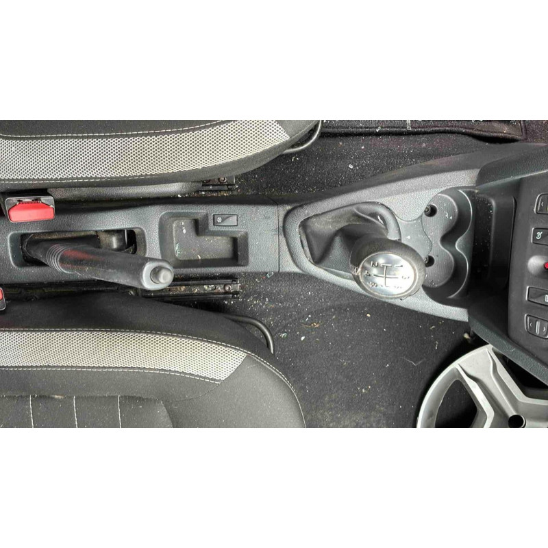 Porte avant droit DACIA SANDERO 2 Photo n°13