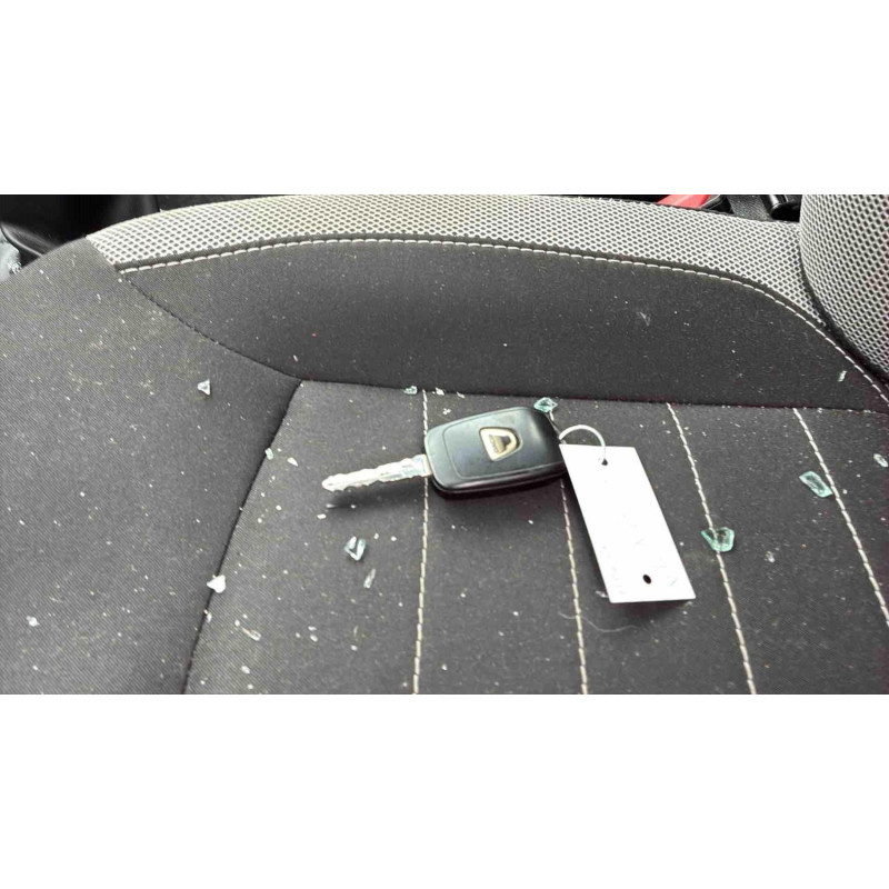 Porte avant droit DACIA SANDERO 2 Photo n°17