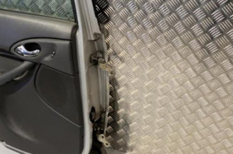 Porte arriere gauche FORD FOCUS 1