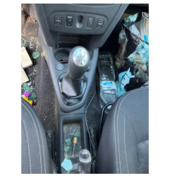 Porte arriere gauche DACIA SANDERO 2