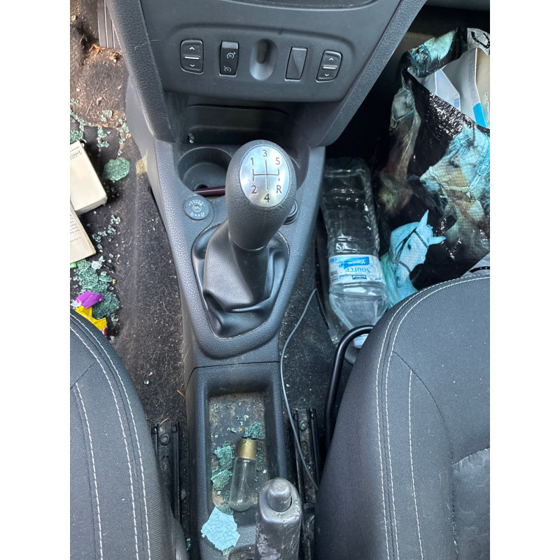 Porte arriere gauche DACIA SANDERO 2 Photo n°9