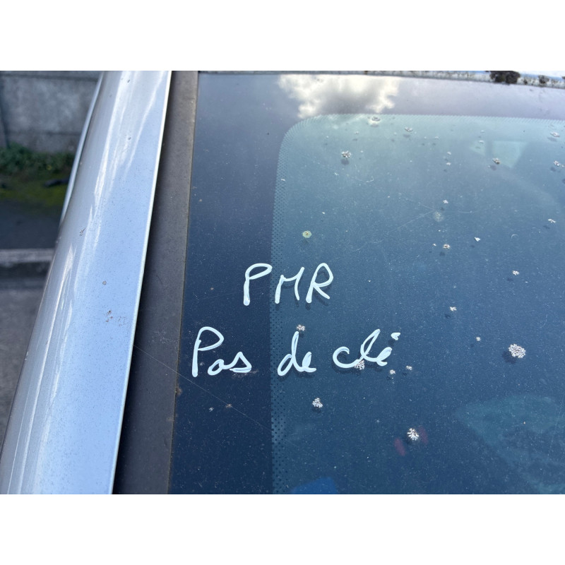 Porte arriere gauche DACIA SANDERO 2 Photo n°17