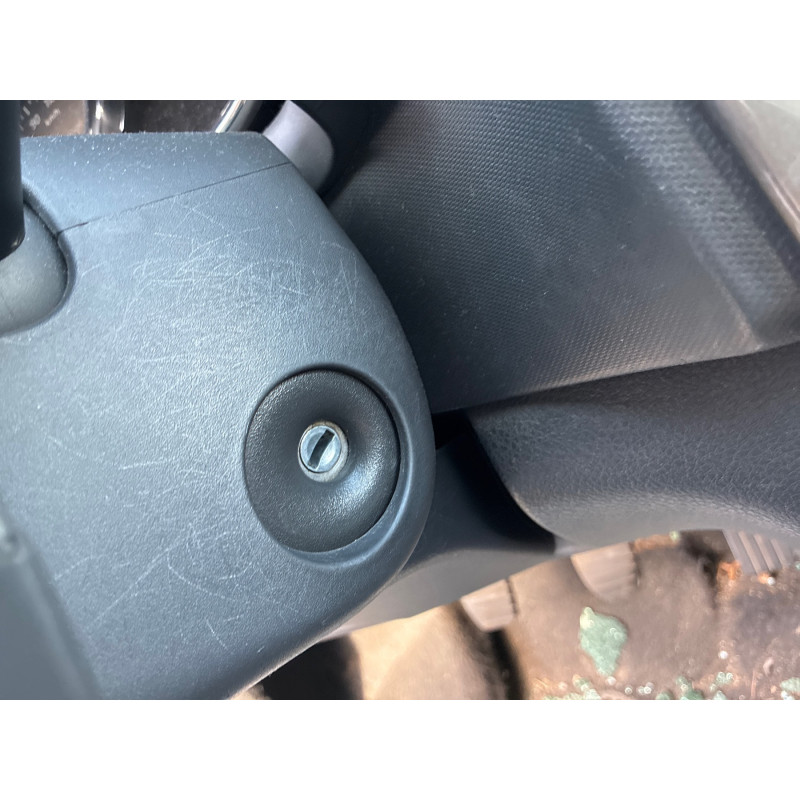 Porte avant gauche DACIA SANDERO 2 Photo n°11