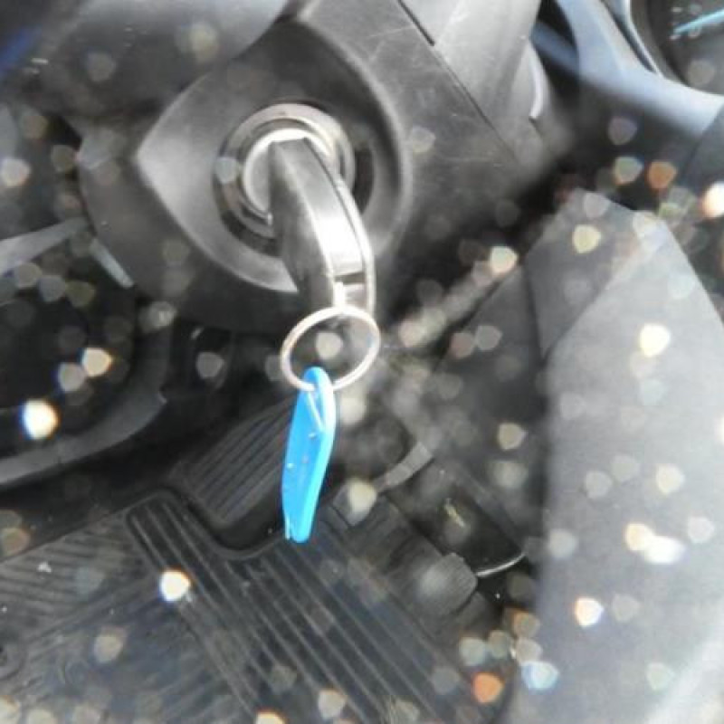 Bras essuie glace arriere FORD C-MAX 2 Photo n°10