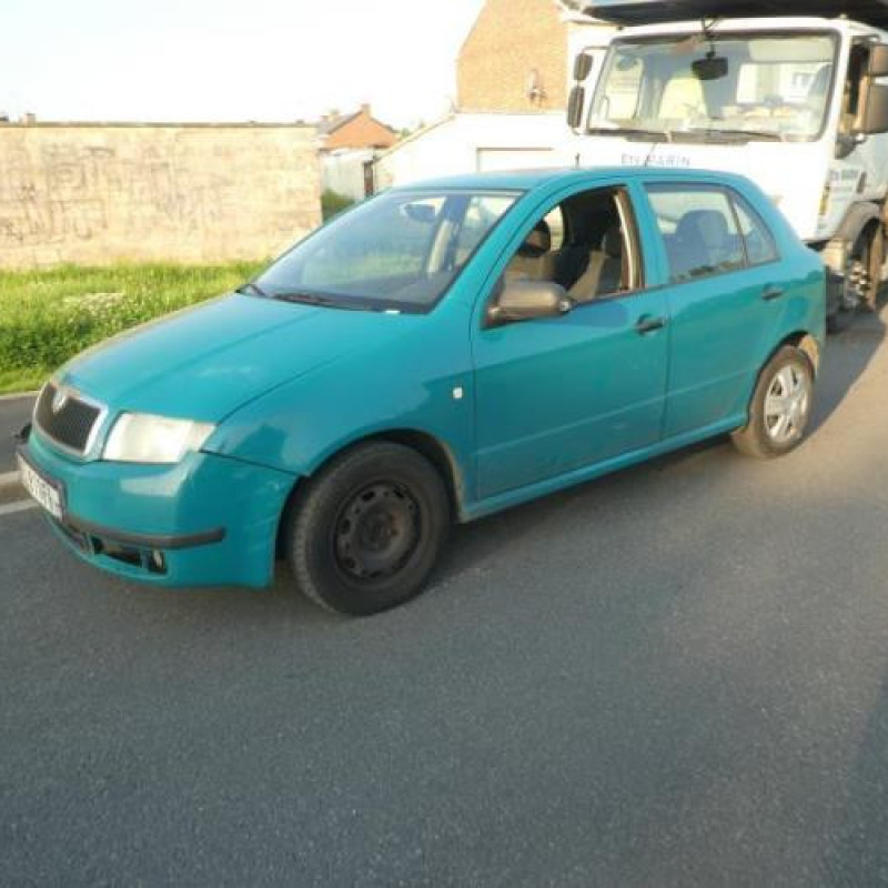 Malle/Hayon arriere SKODA FABIA 1 Photo n°3