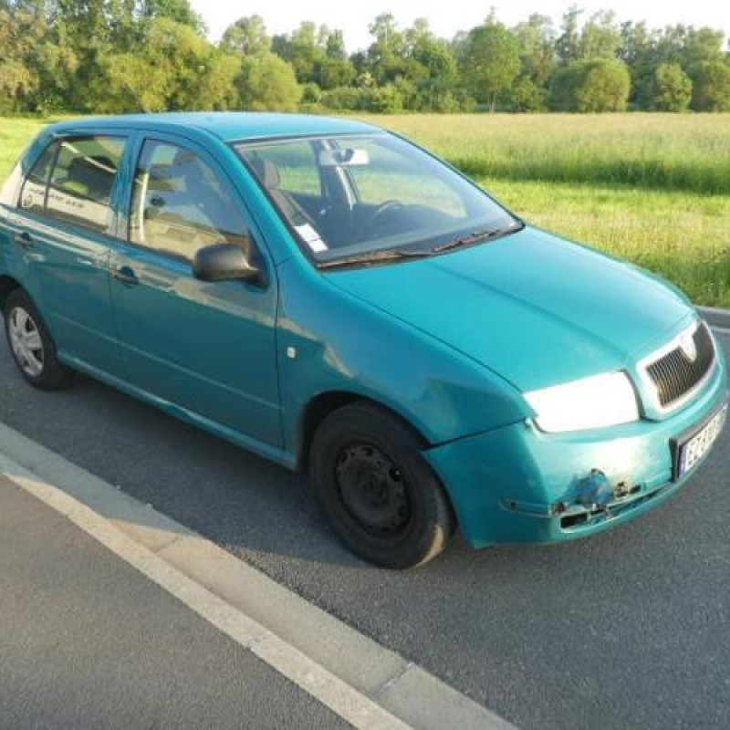Malle/Hayon arriere SKODA FABIA 1 Photo n°4