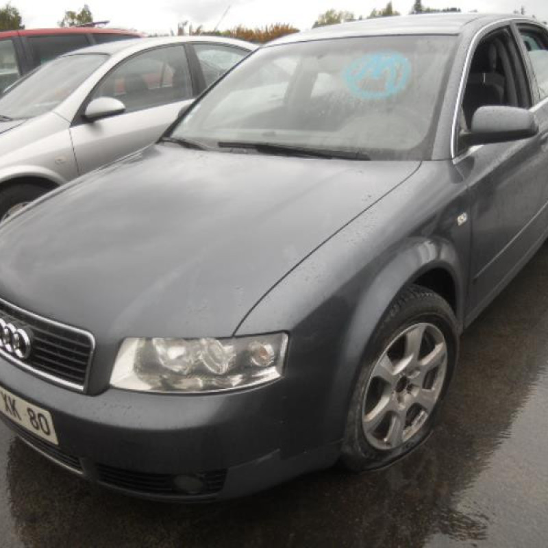Porte arriere droit AUDI A4 2 Photo n°3