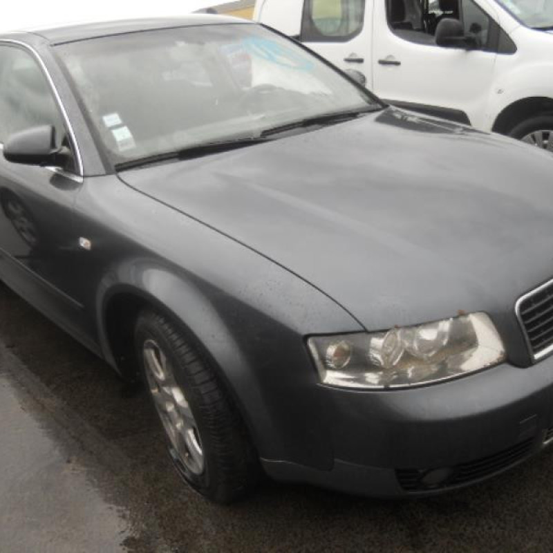 Porte arriere droit AUDI A4 2 Photo n°4
