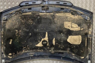 Capot VOLKSWAGEN BORA
