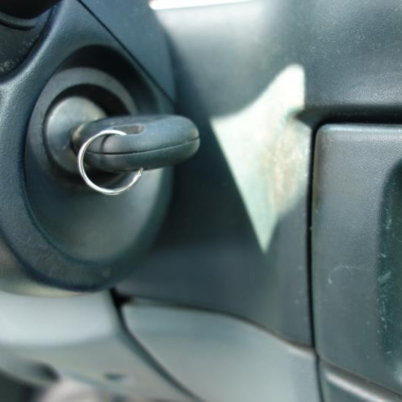 Malle/Hayon arriere RENAULT MEGANE 1 Photo n°12
