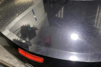 Malle/Hayon arriere OPEL TIGRA 2