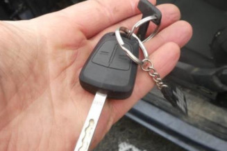 Malle/Hayon arriere OPEL ASTRA H