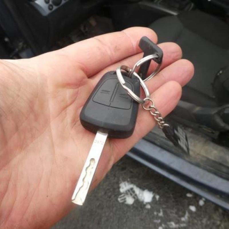 Malle/Hayon arriere OPEL ASTRA H Photo n°13