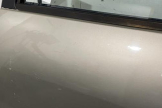 Porte arriere gauche DACIA SANDERO 1