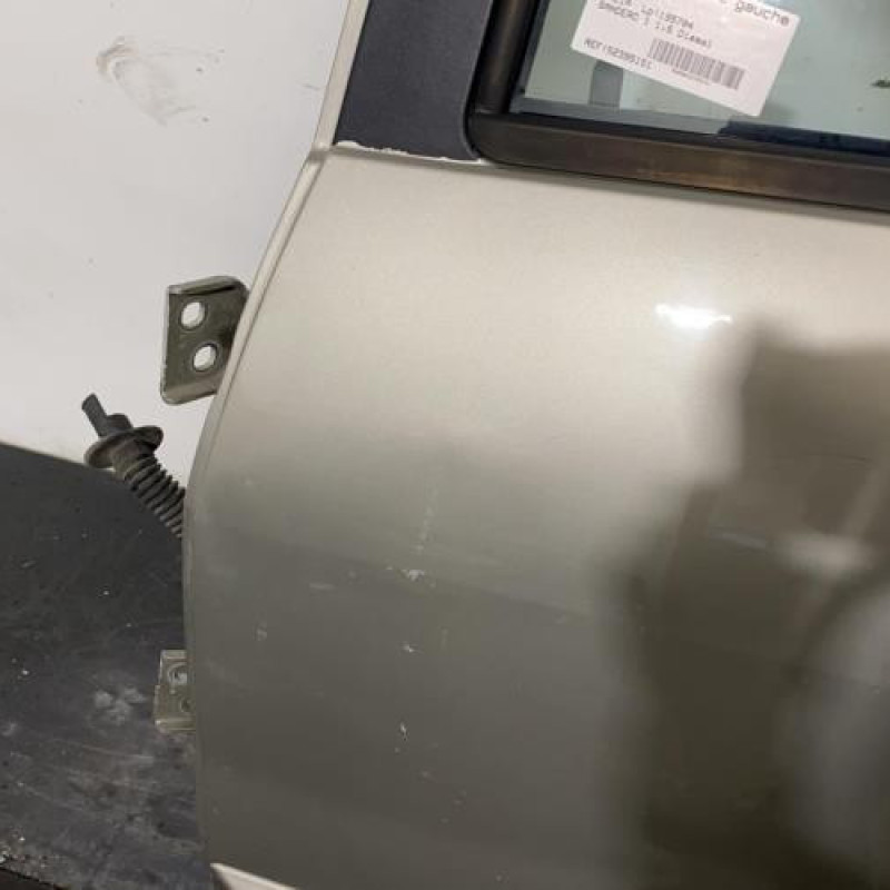 Porte arriere gauche DACIA SANDERO 1 Photo n°3