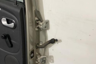 Porte arriere gauche DACIA SANDERO 1