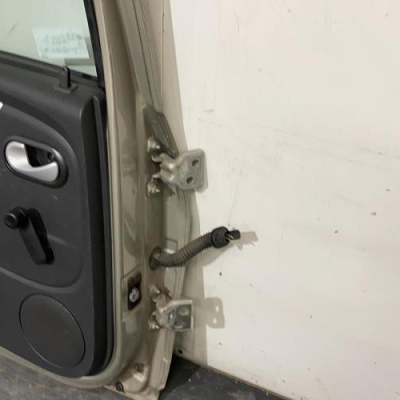Porte arriere gauche DACIA SANDERO 1 Photo n°5