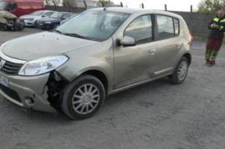 Porte arriere gauche DACIA SANDERO 1