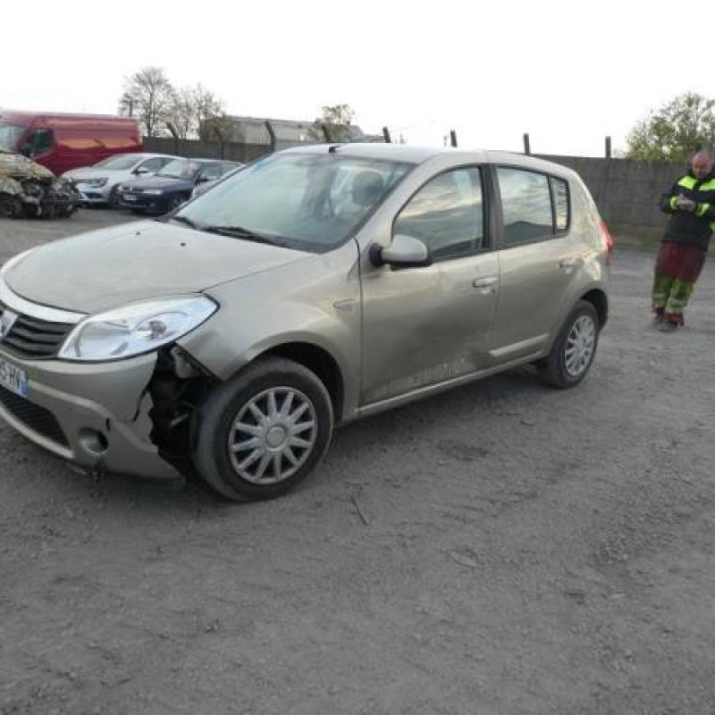 Porte arriere gauche DACIA SANDERO 1 Photo n°6