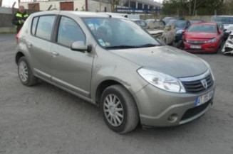 Porte arriere gauche DACIA SANDERO 1