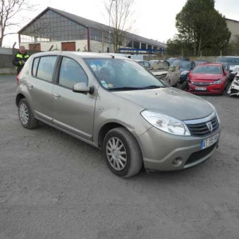 Porte arriere gauche DACIA SANDERO 1 Photo n°7