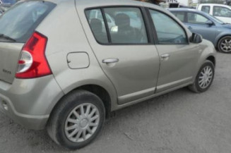 Porte arriere gauche DACIA SANDERO 1