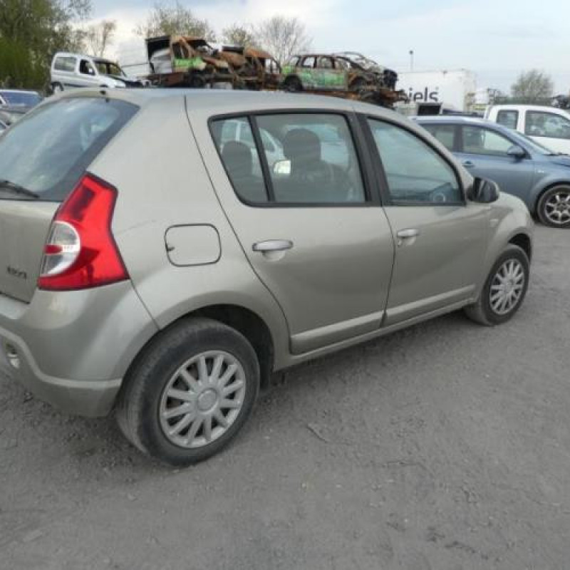 Porte arriere gauche DACIA SANDERO 1 Photo n°8