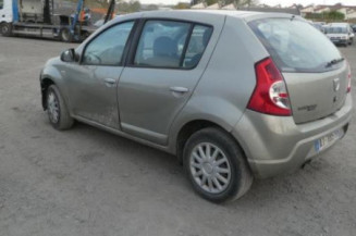 Porte arriere gauche DACIA SANDERO 1