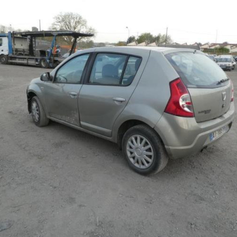 Porte arriere gauche DACIA SANDERO 1 Photo n°9