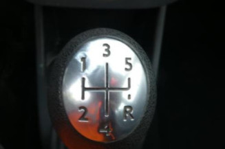 Porte arriere gauche DACIA SANDERO 1