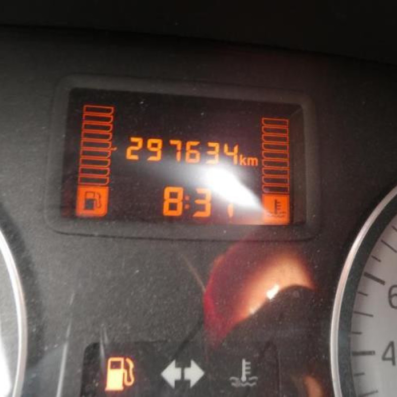 Porte arriere gauche DACIA SANDERO 1 Photo n°14