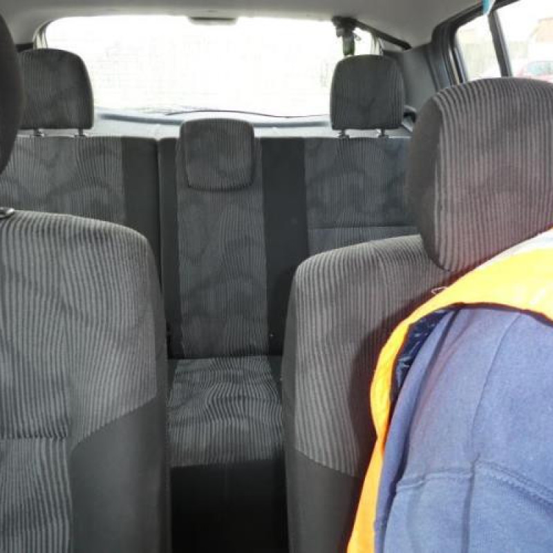 Porte arriere gauche DACIA SANDERO 1 Photo n°15