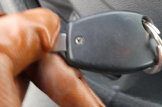 Porte arriere gauche DACIA SANDERO 1