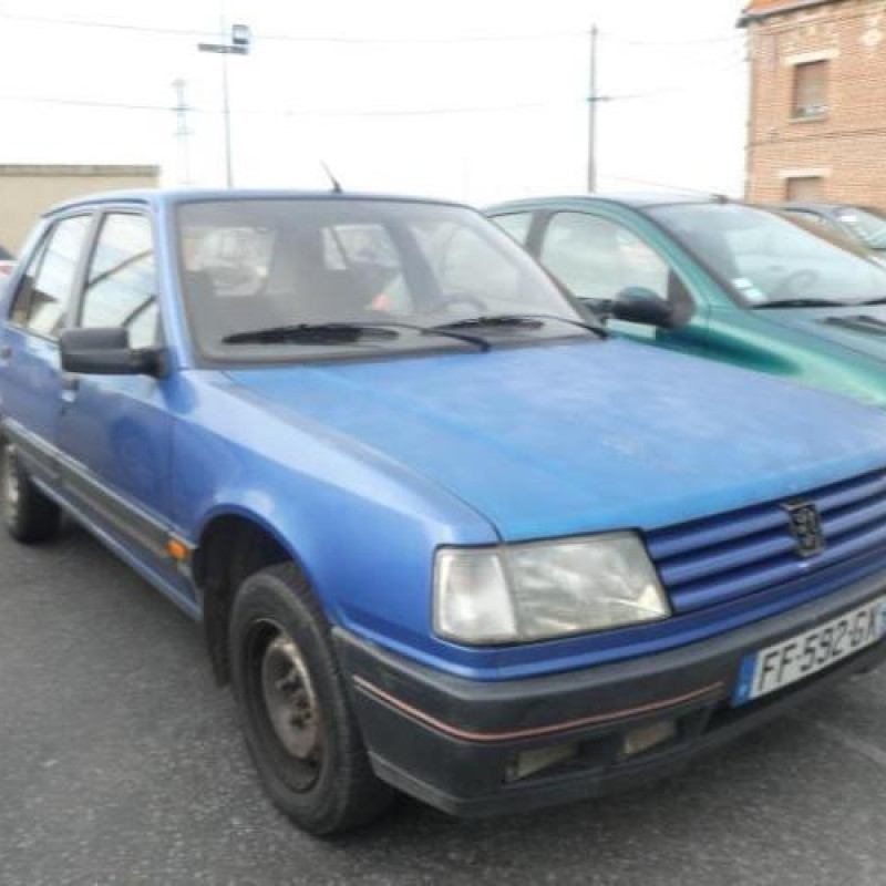 Jante PEUGEOT 309 Photo n°3