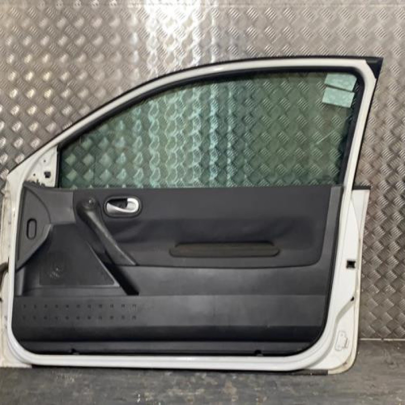 Porte avant droit RENAULT MEGANE 2 Photo n°3
