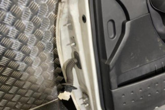 Porte avant droit RENAULT MEGANE 2